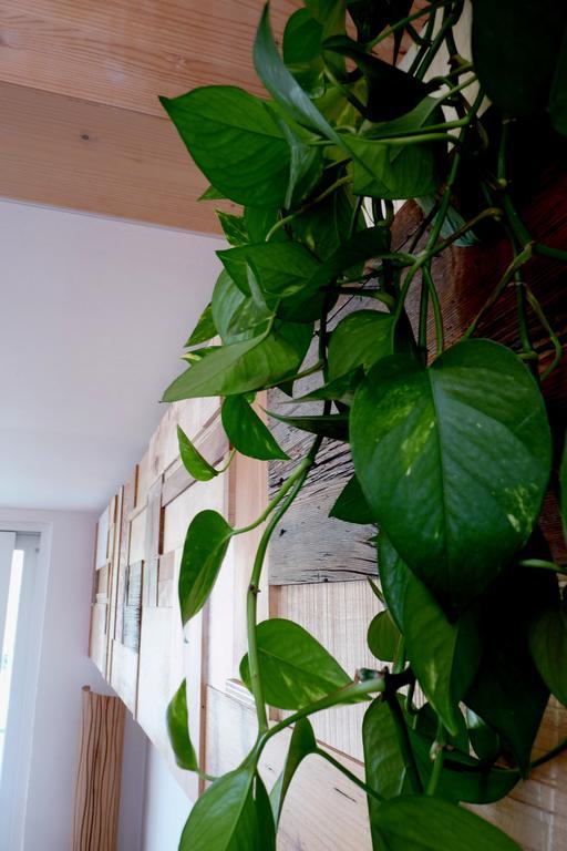 B&B Casa Sul Lago - Appartamenti Calceranica al Lago Room photo
