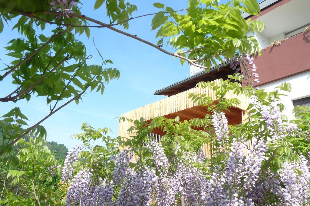 B&B Casa Sul Lago - Appartamenti Calceranica al Lago Exterior photo